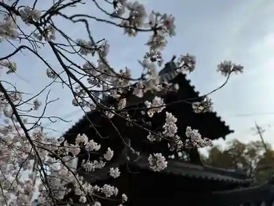 伊勢の国 四天王寺(三重県)