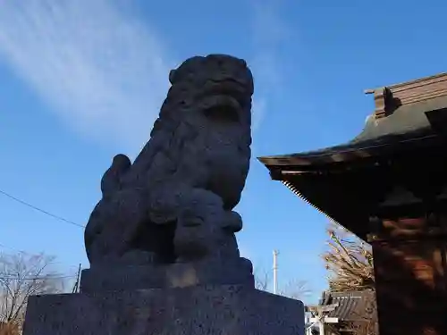 茂原八幡神社の狛犬