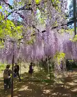 天台宗 五大山 白毫寺(兵庫県)