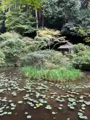 岩船寺(京都府)