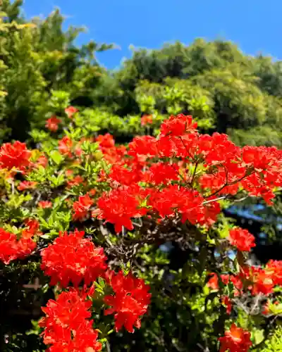 伊達神社(北海道)