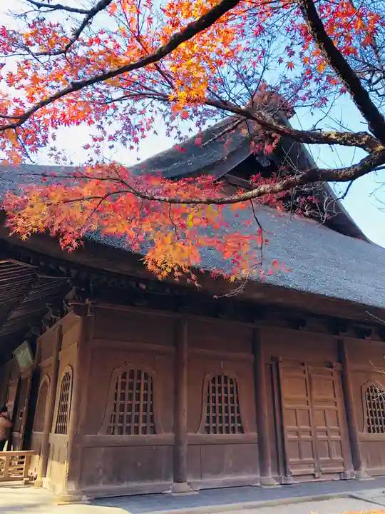 平林寺の本殿・本堂