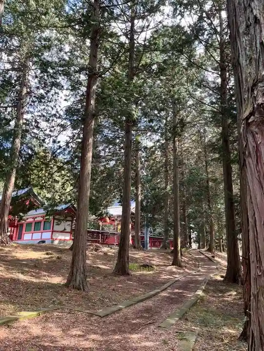 冨士御室浅間神社(山梨県)