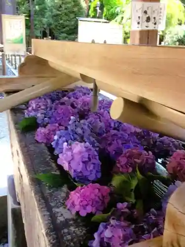 鳩森八幡神社の手水舎