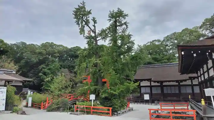 賀茂御祖神社(下鴨神社)(京都府)