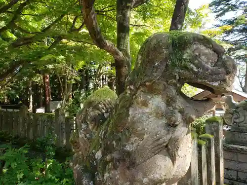 春日山神社の狛犬