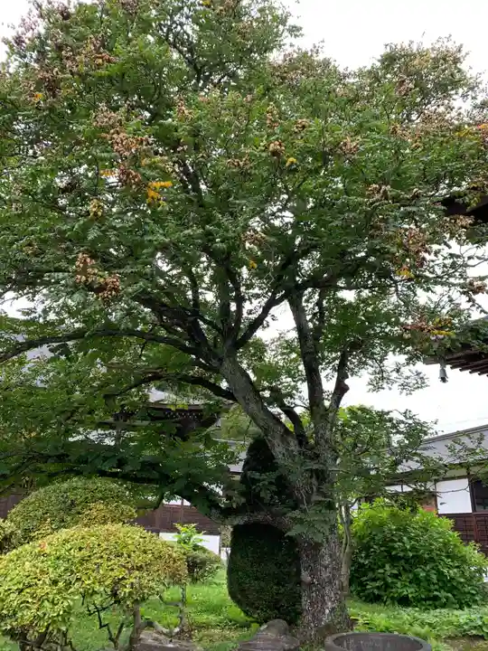 昌歓寺(岩手県)