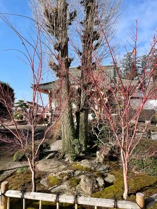 台林寺(栃木県)