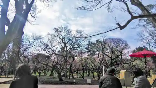 北野天満宮の庭園