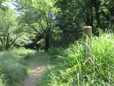 少林寺(埼玉県)