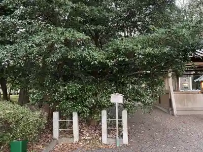 箕曲神社の{uncategorized: "未分類", other: "その他", undefined: "問題あり", building: "その他建物", grave: "お墓", sacred_gate: "鳥居", guardian: "狛犬", statue: "像", buddha: "仏像", history: "歴史", nature: "自然", garden: "庭園", animal: "動物", pagoda: "塔", temizu: "手水舎", mountain_gate: "山門・神門", sanctuary: "本殿・本堂", subordinate: "末社・摂社", art: "芸術", scenery: "景色", jizo: "地蔵", ema: "絵馬", goshuin: "御朱印", omikuji: "おみくじ", items: "授与品その他", amulet: "お守り", goshuincho: "御朱印帳", eats: "食事", festival: "お祭り", votive_dance: "神楽", shichigosan: "七五三参", wedding: "結婚式", experience: "体験その他", initially: "初詣", around: "周辺", anti_infection: "感染症対策"}