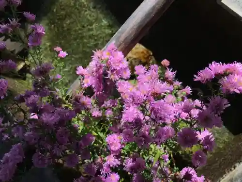 高司神社〜むすびの神の鎮まる社〜(福島県)