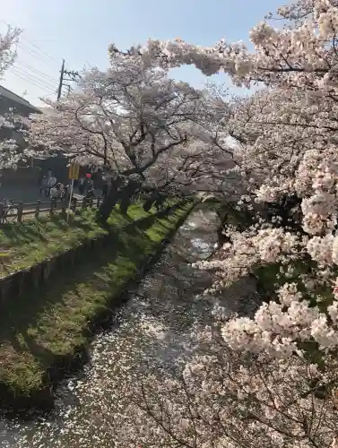 川越氷川神社(埼玉県)