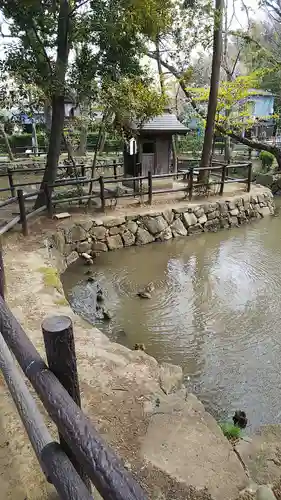 師岡熊野神社の庭園