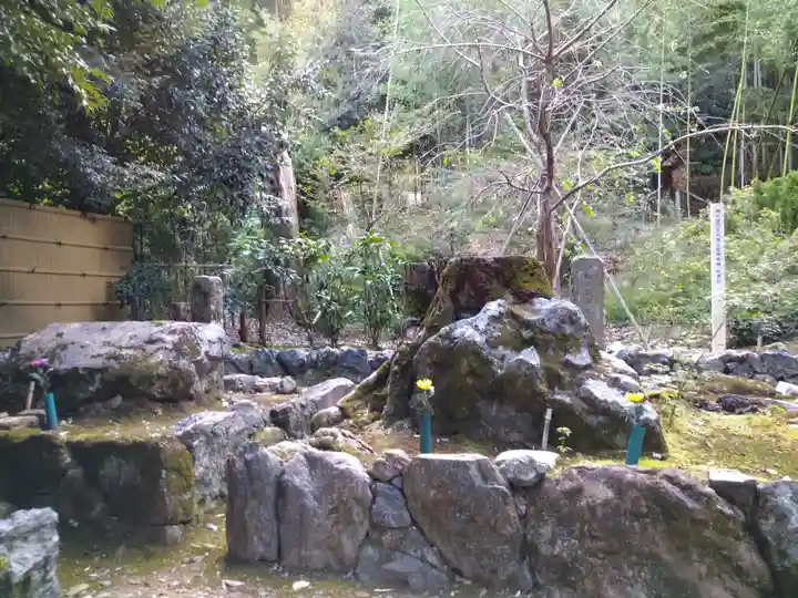 地蔵院(京都府)