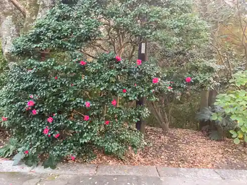 妙本寺(神奈川県)