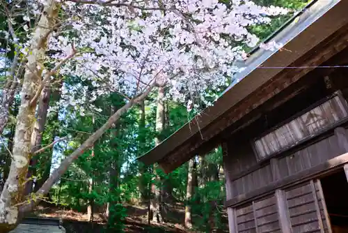 河口浅間神社(山梨県)