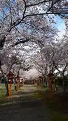 太田神社の建物その他