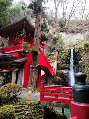 大正寺(中野不動尊)の庭園