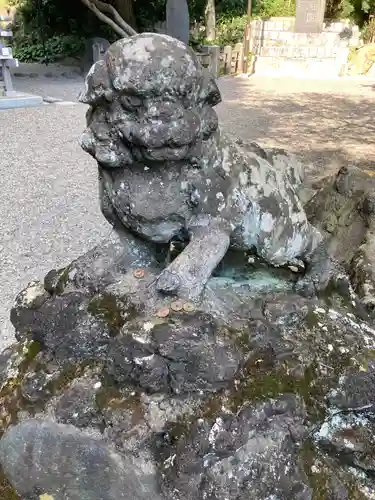 貫井神社の狛犬