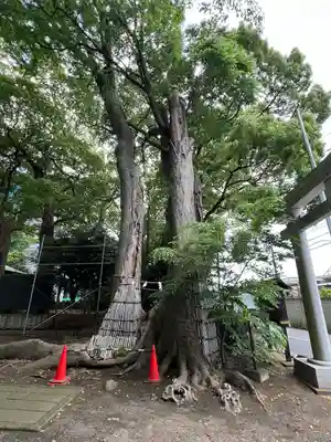 倉見神社(神奈川県)