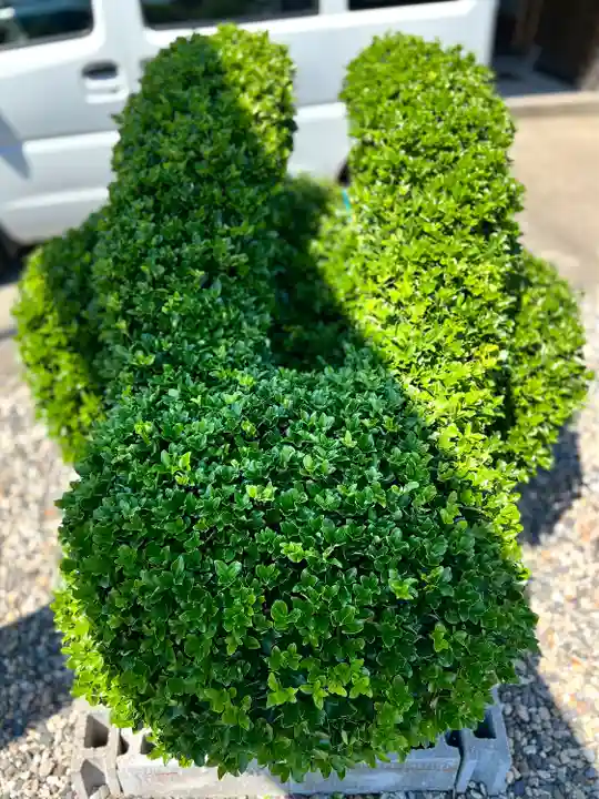 光兎神社(新潟県)