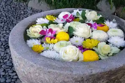 菅生神社(愛知県)