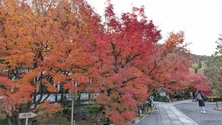 禅林寺(永観堂)(京都府)