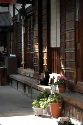 西福寺のその他建物