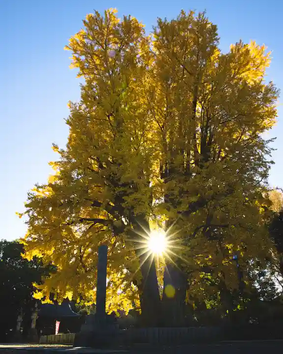 鑁阿寺(栃木県)
