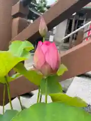 花藏院の自然