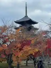 東寺（教王護国寺）(京都府)