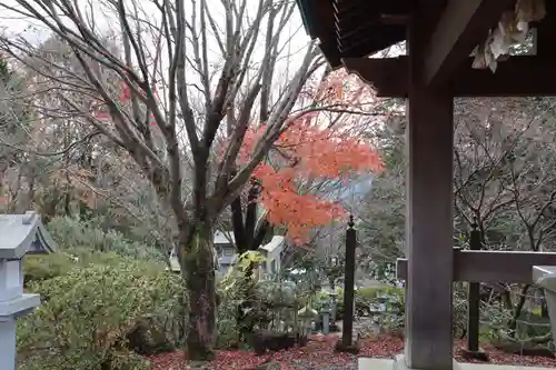 常陸国出雲大社の自然