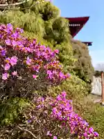 伊達神社(北海道)