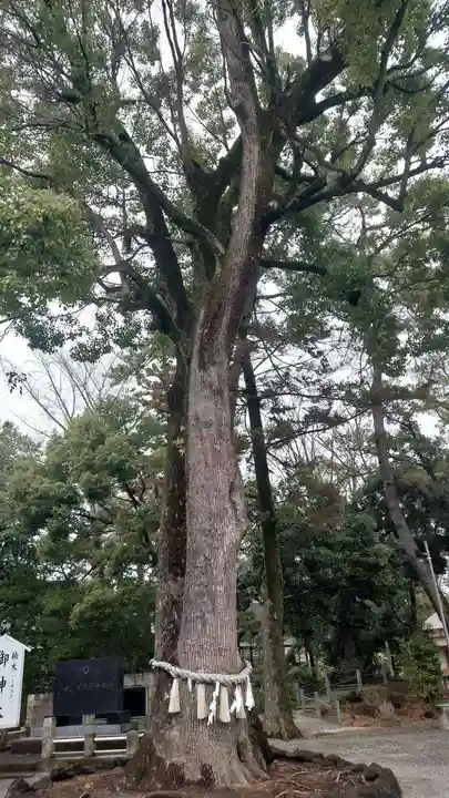玉村八幡宮(群馬県)