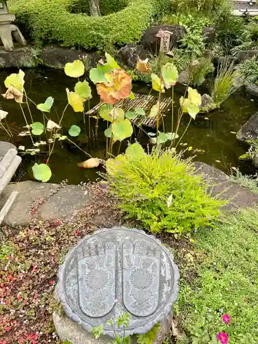 長谷寺の庭園