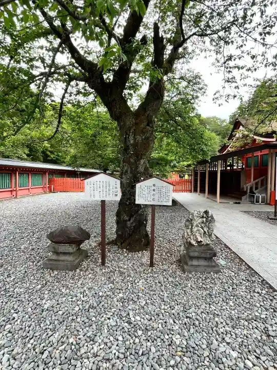 富士山本宮浅間大社(静岡県)