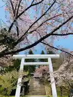 土津神社|こどもと出世の神さまの鳥居