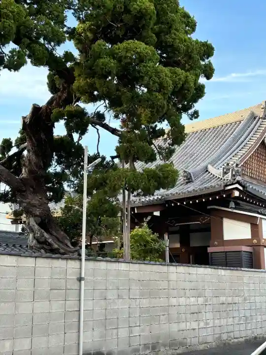 順照寺(大阪府)