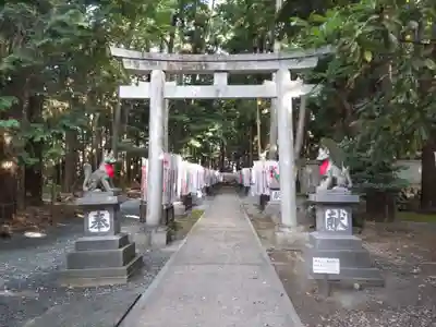 豊川閣　妙厳寺の鳥居