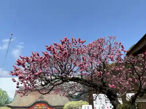 太宰府天満宮の自然