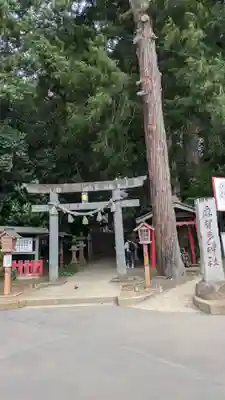 麻賀多神社(千葉県)