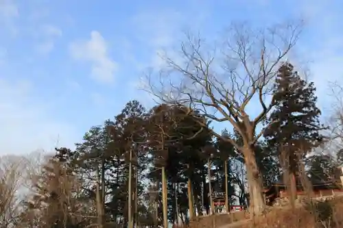 阿久津「田村神社」（郡山市阿久津町）旧社名：伊豆箱根三嶋三社の景色