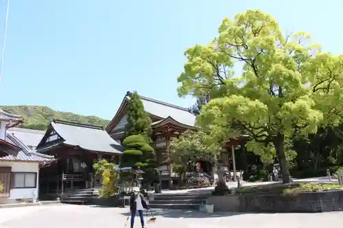 善楽寺の建物その他