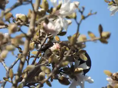 當麻寺(奈良県)