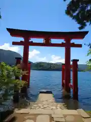 箱根神社の鳥居