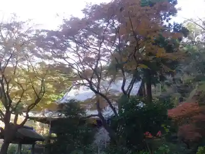 妙本寺のその他建物