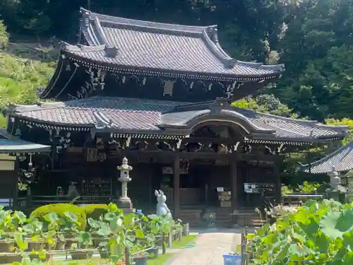 三室戸寺(京都府)