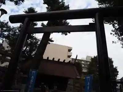 高円寺氷川神社の鳥居