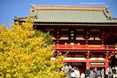 鶴岡八幡宮の本殿・本堂
